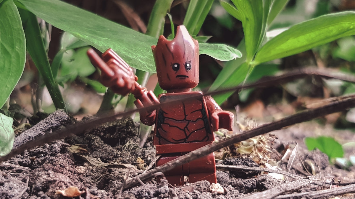a small toy is standing in the dirt