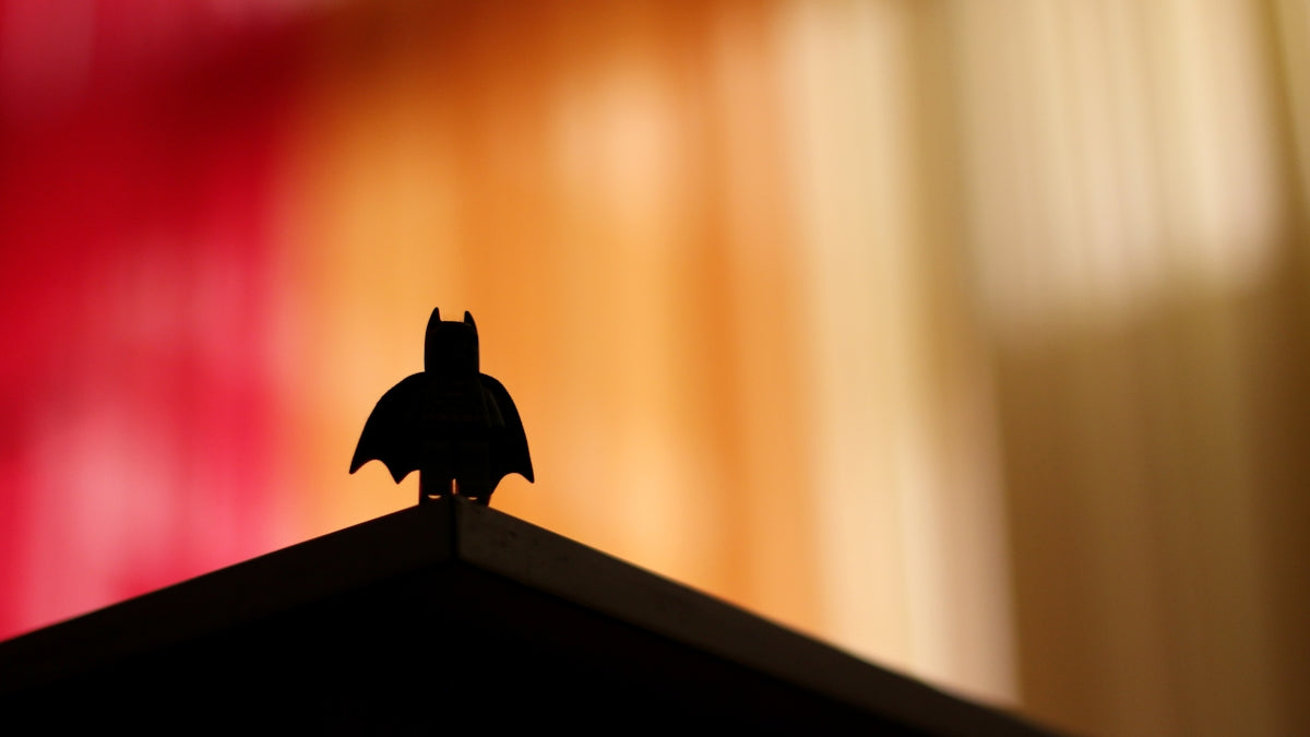 silhouette of bird on top of brown wooden shelf